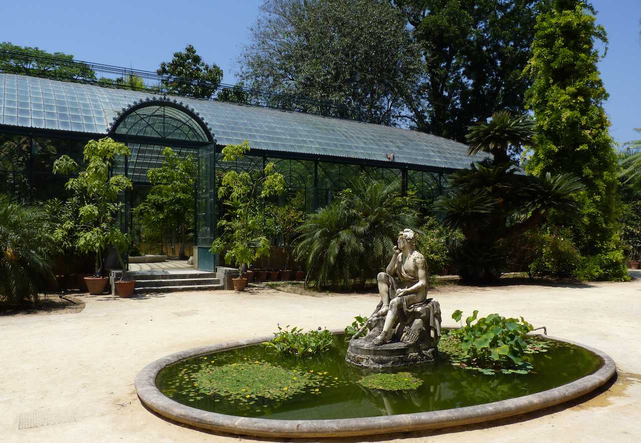 Orto Botanico Di Palermo Grandi Giardini Italiani 8149