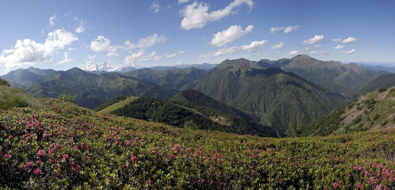 Oasi Zegna Grandi Giardini Italiani